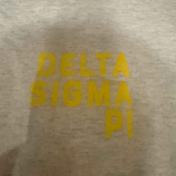 Vintage Hanes Delta Sigma Pi Sweatshirt Gray Ultimate Cotton Greek Lettering L - Picture 4 of 7